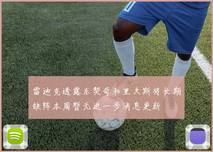 雷迪克透露东契奇和里夫斯将长期缺阵本周暂无进一步消息更新
